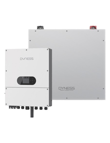 Système de stockage monophasé onduleur Dyness 6kW lithium 5.12kWh DL5.0C