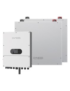 Système de stockage monophasé onduleur Dyness 6kW lithium 10.24kWh DL5.0C