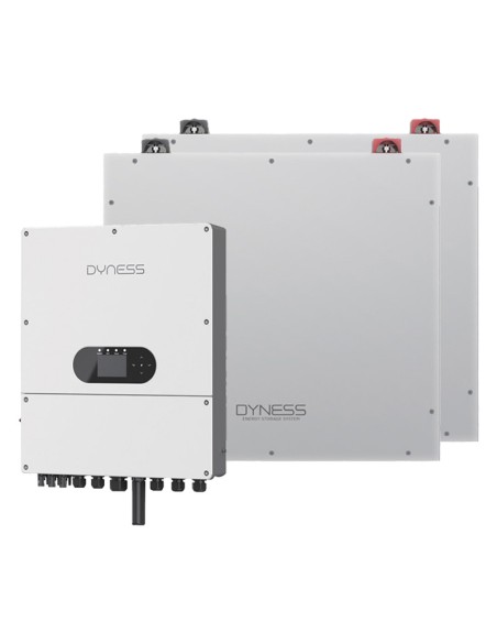 Système de stockage monophasé onduleur Dyness 6kW lithium 10.24kWh DL5.0C