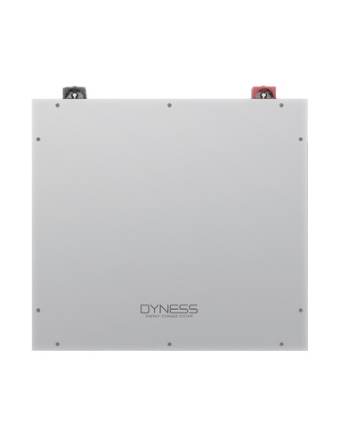 Système de stockage monophasé onduleur Dyness 6kW lithium 15.36kWh DL5.0C
