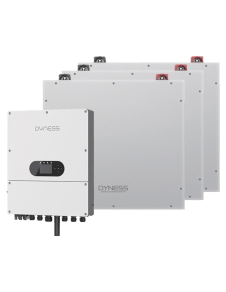Single-phase storage system inverter Dyness 6kW 15.36kWh lithium DL5.0C