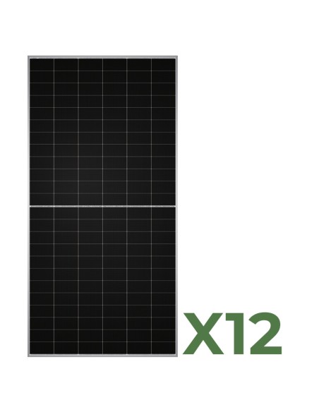 Set of 12 bifacial photovoltaic solar panels 590W total 7080W mono TW Solar