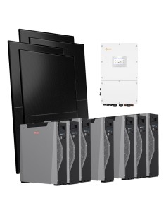 Serie Pro: vendita online Kit fotovoltaico trifase 30000W inverter Solis 30kW litio 37.5kWh Weco 5k3 XP