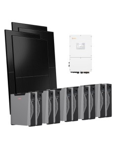 Serie Pro: vendita online Kit fotovoltaico trifase 50000W inverter Solis 50kW litio 53.7kWh Weco 5k3 XP