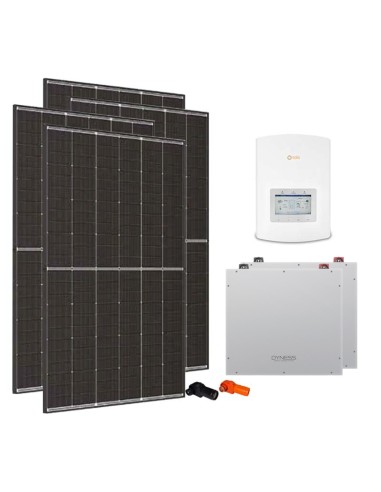 Serie Pro: vendita online Kit fotovoltaico monofase 3640W inverter 3kW Solis litio 10.24kWh Dyness DL5.0C
