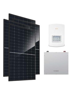 Serie Pro: vendita online Kit fotovoltaico monofase 3680W inverter 3kW Solis litio 5.12kWh Dyness DL5.0C