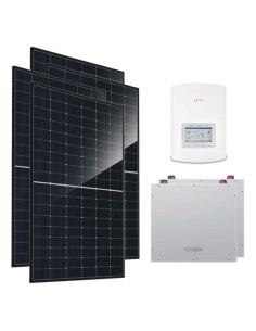 Serie Pro: vendita online Kit fotovoltaico monofase 3680W inverter 3kW Solis litio 10.24kWh Dyness DL5.0C