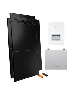 Serie Pro: vendita online Kit fotovoltaico monofase 3000W inverter 3kW Solis litio 5.12kWh Dyness DL5.0C