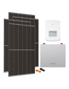 Serie Pro: vendita online Kit fotovoltaico monofase 4095W inverter 3.6kW Solis litio 5.12kWh Dyness DL5.0C