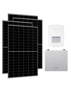 Serie Pro: vendita online Kit fotovoltaico monofase 4230W inverter 3.6kW Solis litio 5.12kWh Dyness DL5.0C