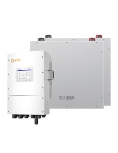 Solis con batterie Dyness: vendita online Sistema di accumulo trifase inverter Solis LV 15kW litio 10.24kWh DL5.0C Dyness