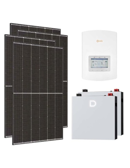Serie Pro: vendita online Kit fotovoltaico monofase 5460W inverter 5kW Solis litio 10.24kWh Dyness DL5.0C PRO