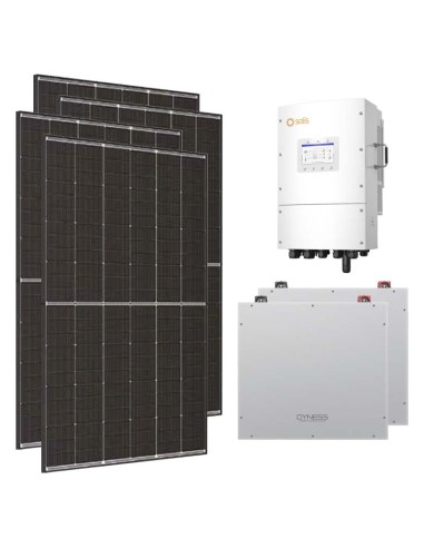 Serie Pro: vendita online Kit fotovoltaico trifase 10010W inverter 10kW Solis LV litio 10.24kWh Dyness DL5.0C
