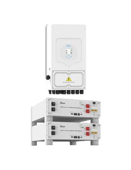 Sistema di accumulo monofase inverter 6kW litio SE-G5.1 Pro-B 10.24kWh Deye