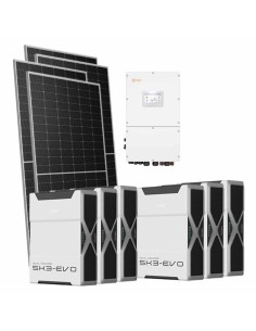 Serie Pro: vendita online Kit fotovoltaico trifase 30940W inverter Solis 30kW litio 31.32kWh Weco EVO 5k3