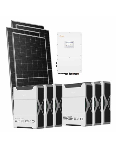Serie Pro: vendita online Kit fotovoltaico trifase 30940W inverter Solis 30kW litio 31.32kWh Weco EVO 5k3