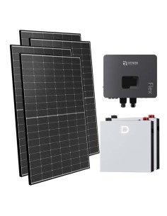 Netzunabhängig Einphasiges Photovoltaik-Kit 6300W Renon Power 6kW Lithium 10.24kWh Dyness DL5.0C Pro