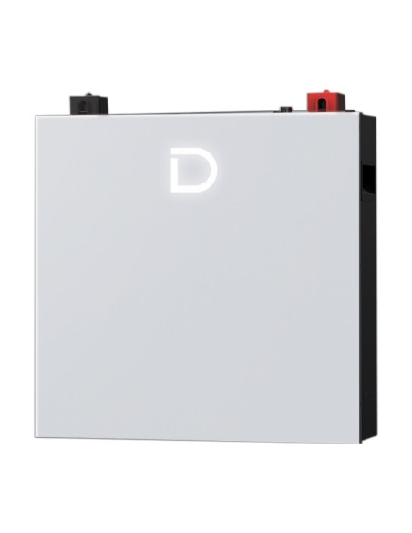 Netzunabhängig Einphasiges Photovoltaik-Kit 6650W Renon Power 6kW Lithium 10.24kWh Dyness DL5.0C Pro