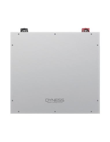 Système stockage monophasé onduleur 6kW Renon Power 5.12kWh lithium Dyness DL5.0C