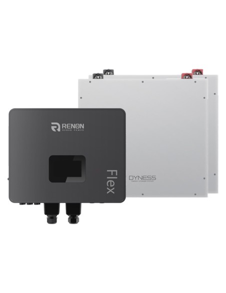 Renon Power: vendita online Sistema di accumulo monofase inverter Renon Power 6kW batteria litio 10.24kWh Dyness DL5.0C